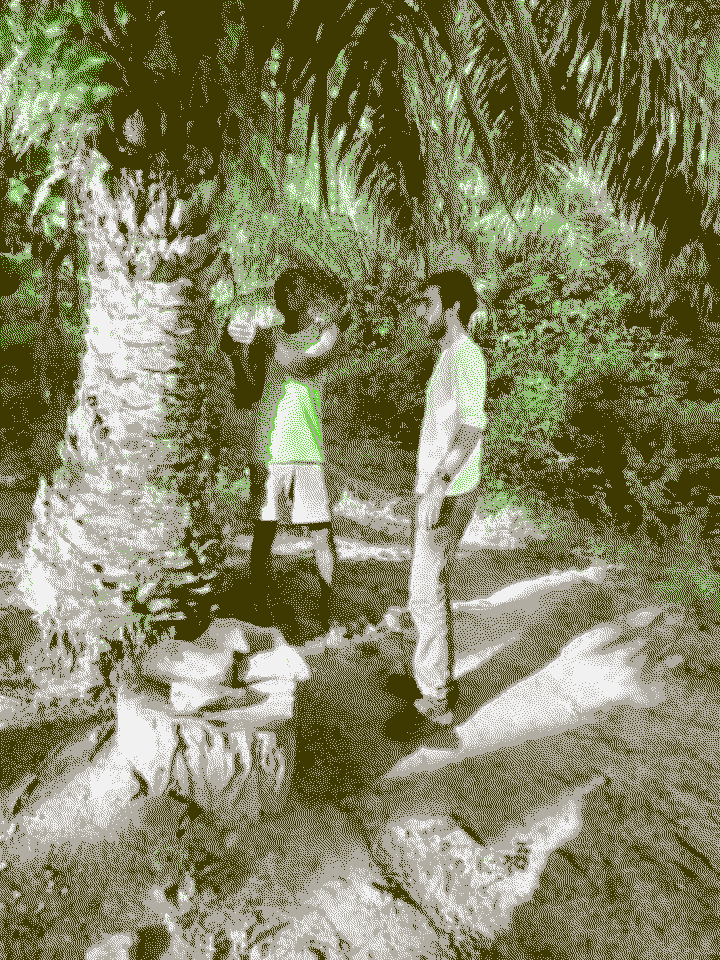 Observations sur le terrain